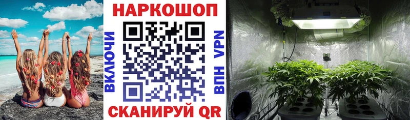 Купить наркотик аптеки Пугачёв Конопля  COCAIN  ГАШИШ 
