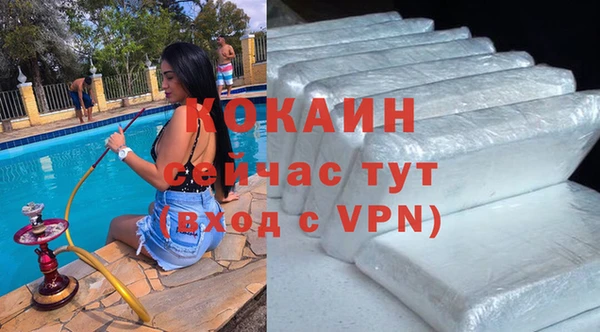 молекула духа Нягань