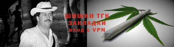 молекула духа Нягань