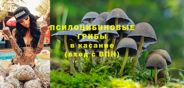 гашик Ханты-Мансийск