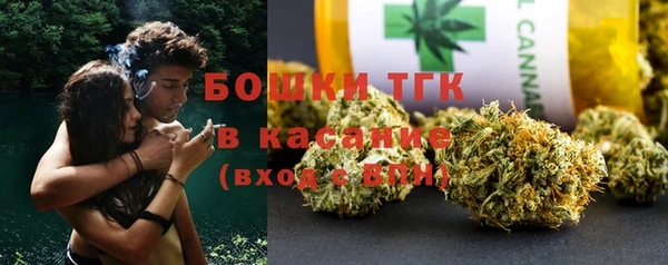 молекула духа Нягань