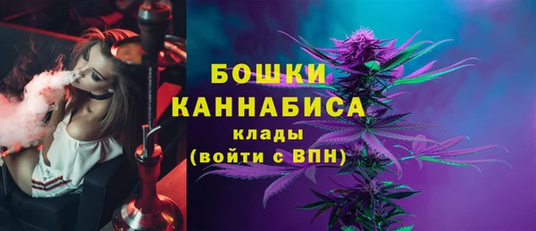 ГАЛЛЮЦИНОГЕННЫЕ ГРИБЫ Нязепетровск
