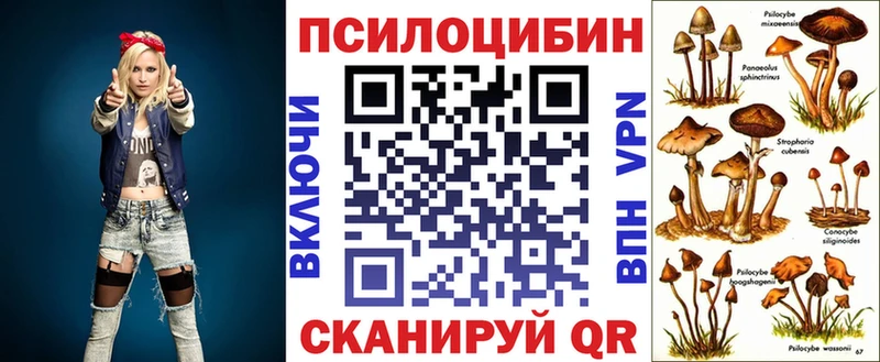 Псилоцибиновые грибы GOLDEN TEACHER  Пугачёв 